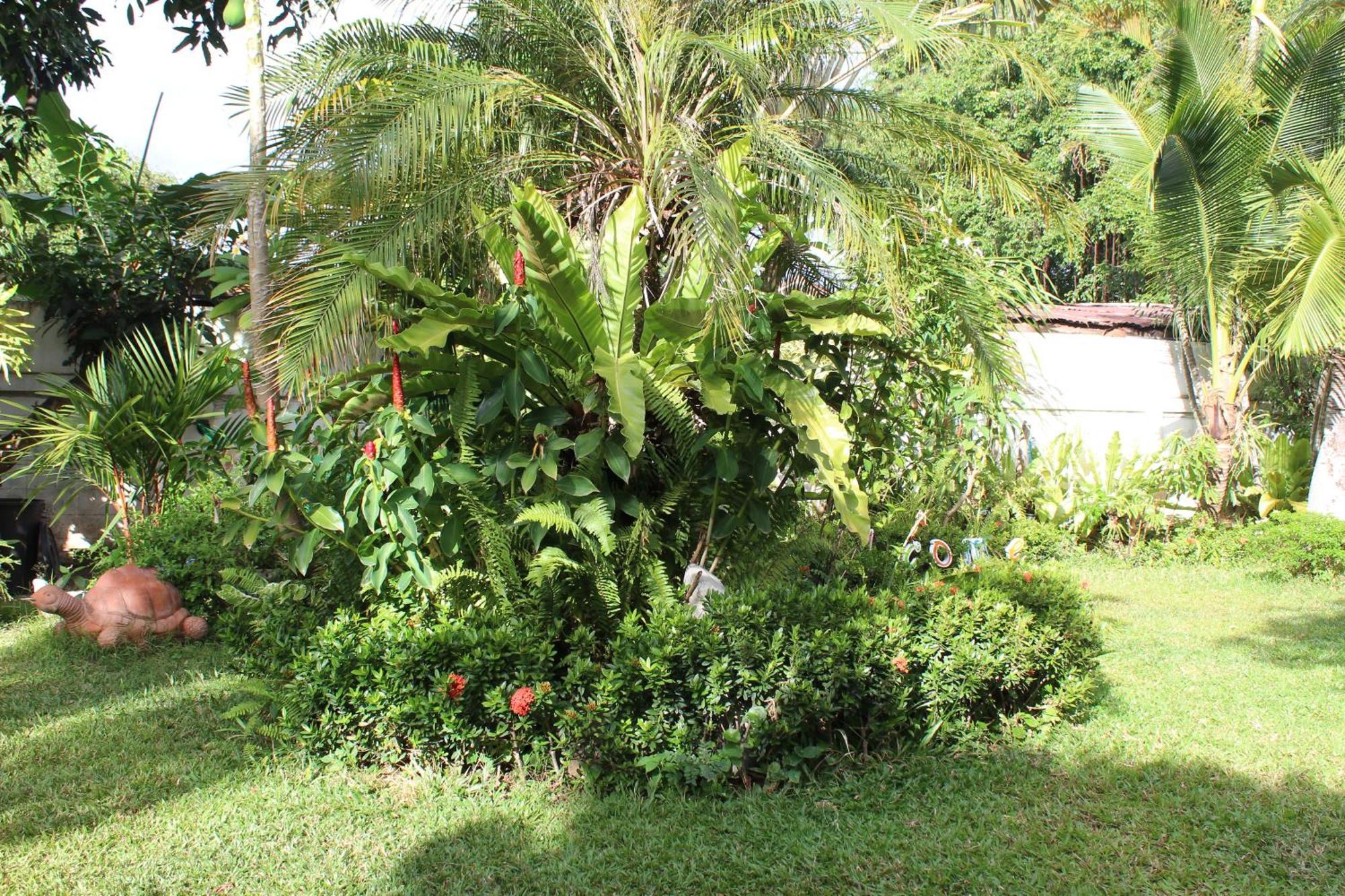 White Elephant Resort Surin Exterior foto