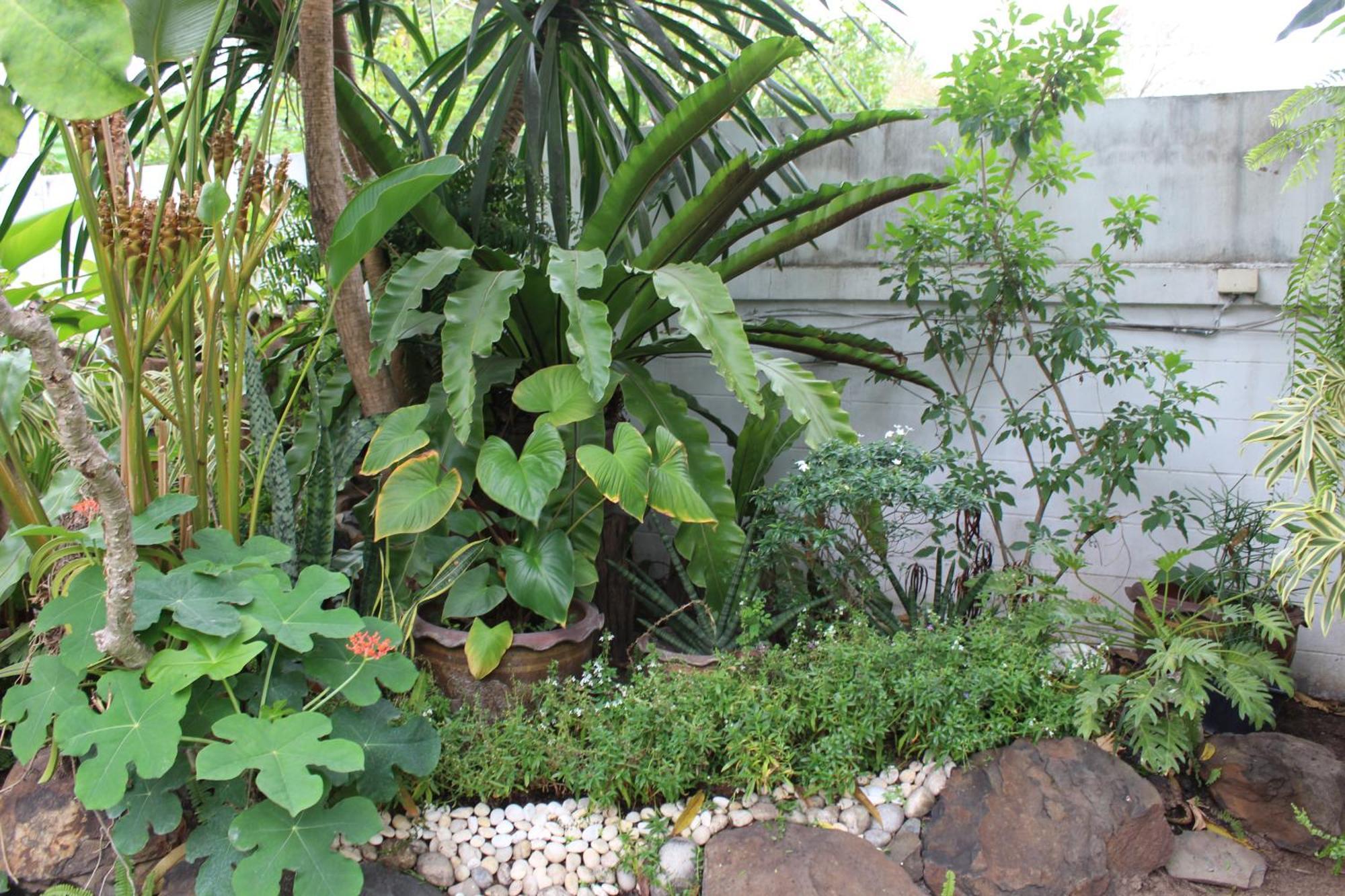 White Elephant Resort Surin Exterior foto